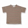 SHORT SLEEVE T-SHIRT WITH LINE SIENNA/BEIGE - 1+ IN THE FAMILY